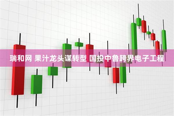 瑞和网 果汁龙头谋转型 国投中鲁跨界电子工程